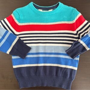 Striped Multicolor Men's Sweater